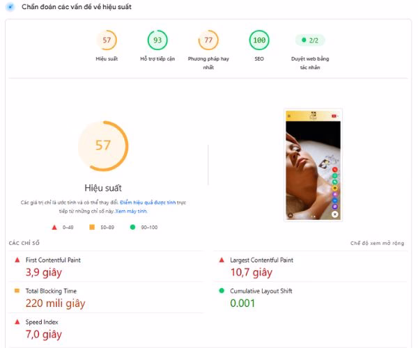 Đánh giá trên Pagespeed Insights của một website spa